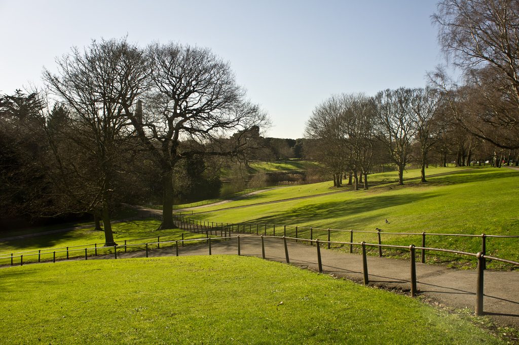 Phoenix Park Concerts